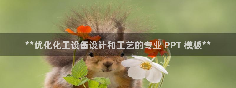 新宝gg平台登录手机版