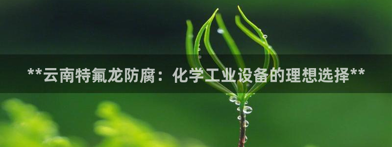 新宝gg6—创造奇迹官方登录