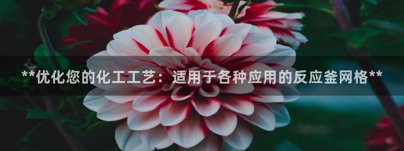新宝gg登录不上去了了