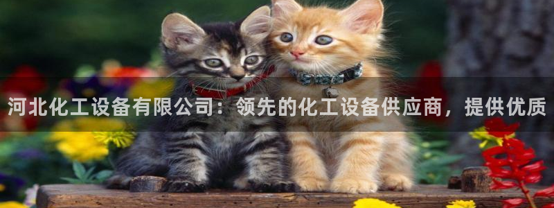 新宝gg创造奇迹登录