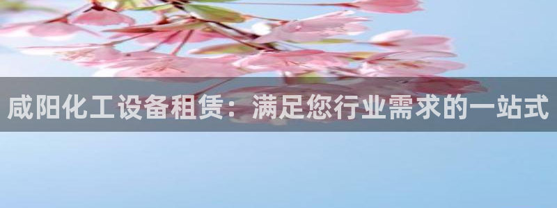 新宝5gg一创造奇迹
