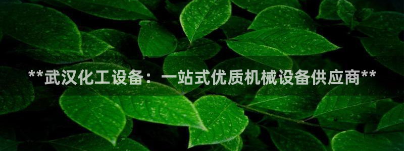 新宝gg创造奇迹官方登录注册入口