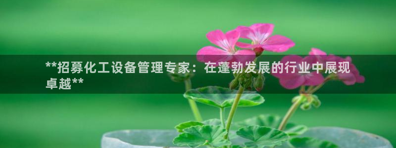 新宝gg创造奇迹登录入口