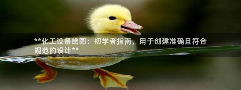 新宝gg平台—创造奇迹赌博：**化工设备绘图：初学