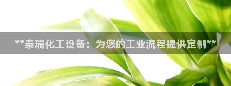 新宝gg游戏平台客服