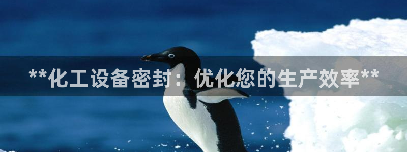 新宝gg账号首页