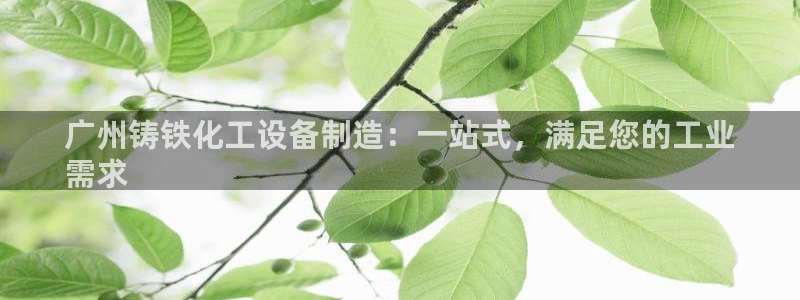 新宝gg平台注册登录指南