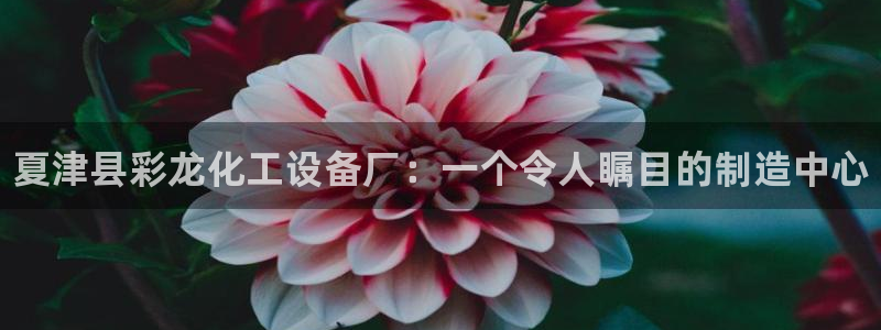 新宝GG平台德711怎么联系客服：夏津县彩龙化工设