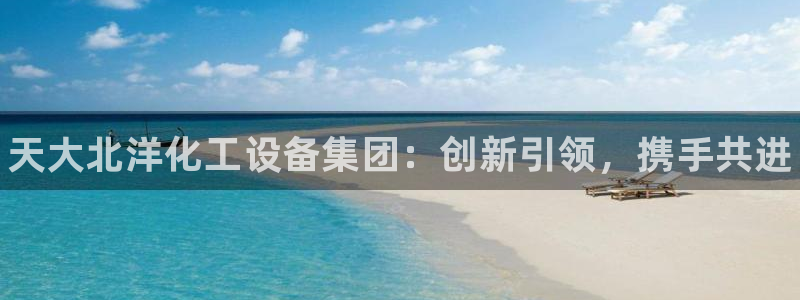 新宝gg登录不上去了了：天大北洋化工设备集团：创新引领，携手