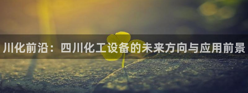 新宝GG平台负责人