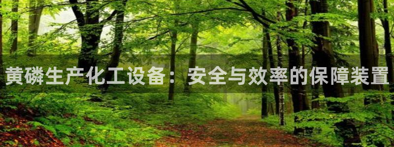 新宝gg一创造奇迹登录龙,虎,和