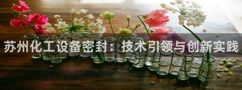 新宝gg—创造奇迹代理登录：苏州化工设备密封：技术引领与创新